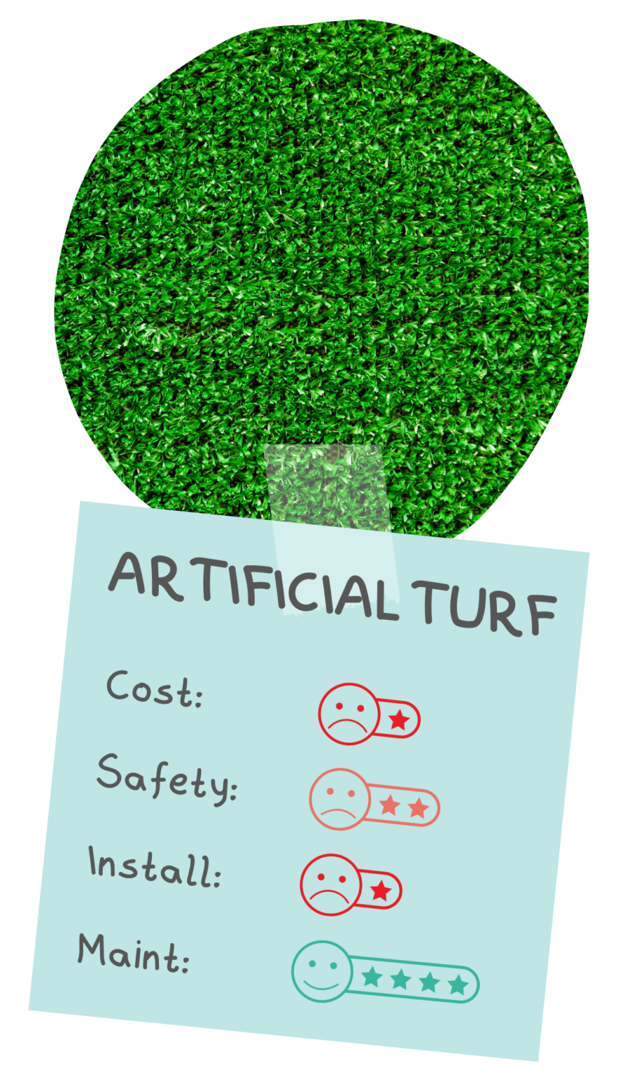 Guide to the Best Play Yard Ground Cover Don't the Pets