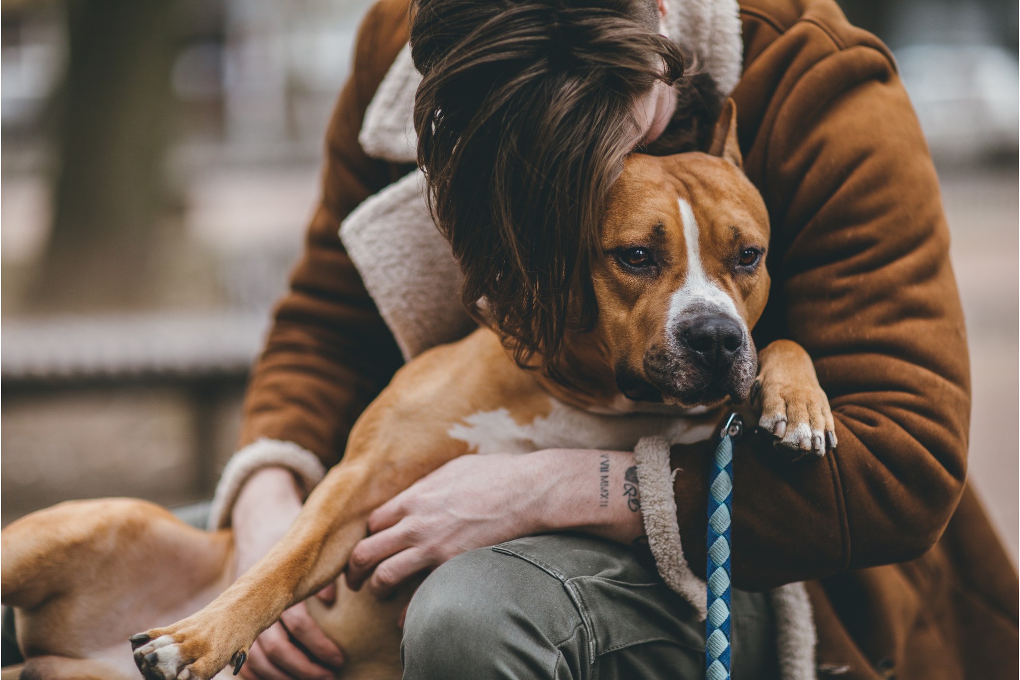 Act Now: Support Unhoused People and Pets