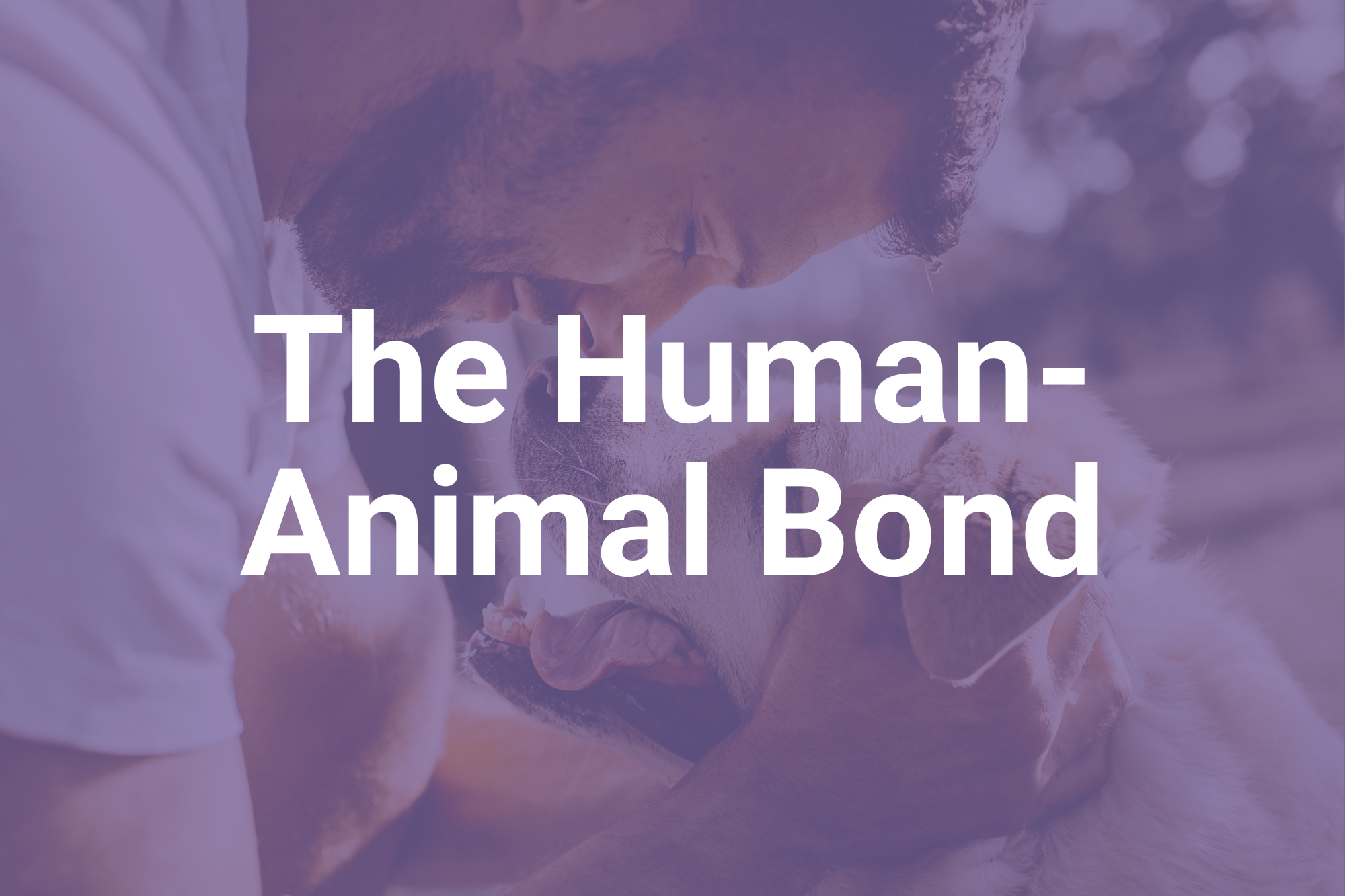 The Human-Animal Bond