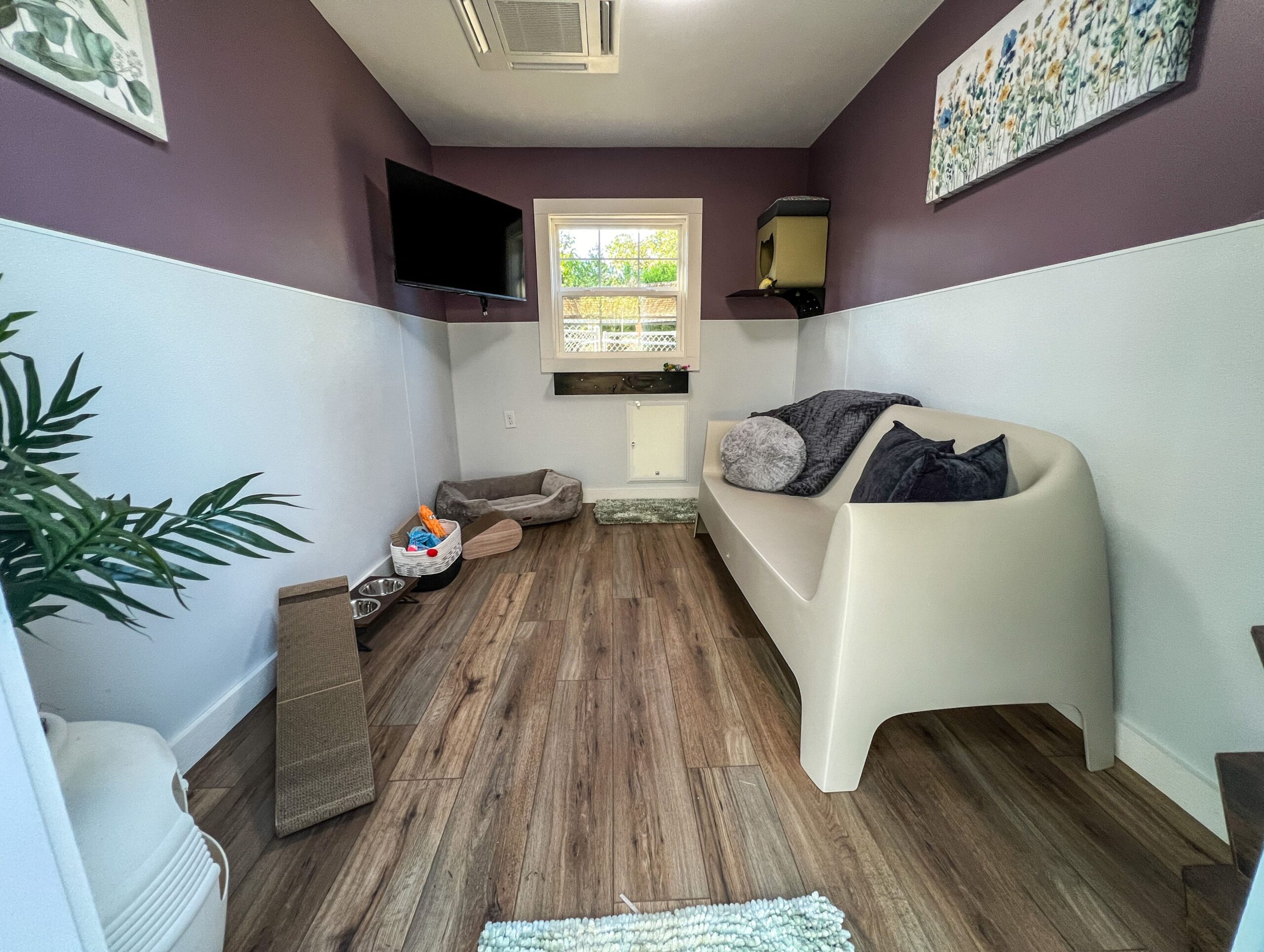 A small pet retreat room is pictured. It includes a couch, dog bed, dog door, and a tv mounted high on the wall.