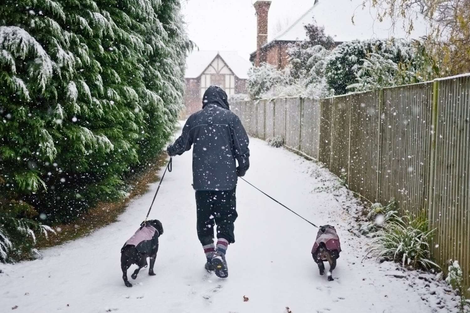 Keeping Pets Safe in Winter Weather