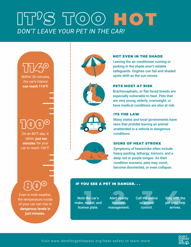 Keeping Pets Safe in the Summer Heat - Don't Forget the Pets