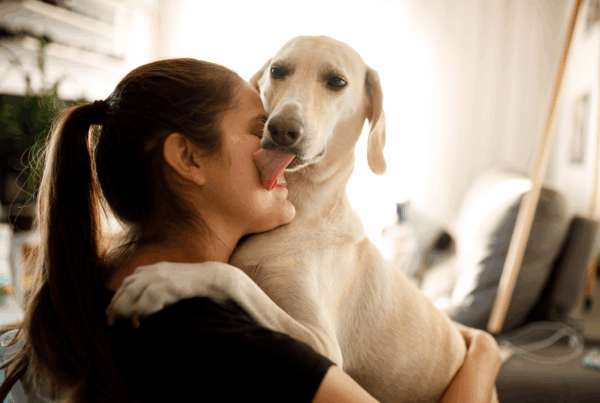 A tan dog licks a woman's face