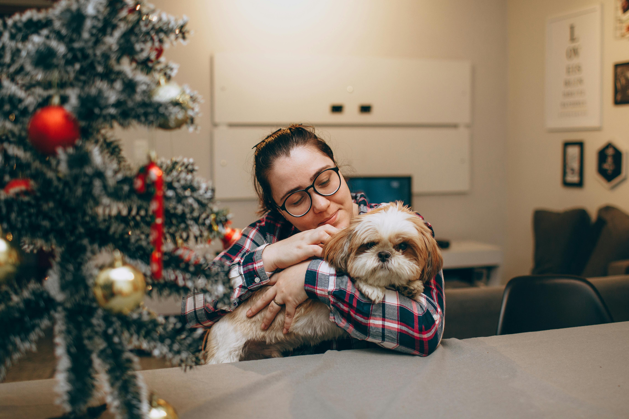 8 Fundraising Strategies to Power Your Pet Program in the New Year