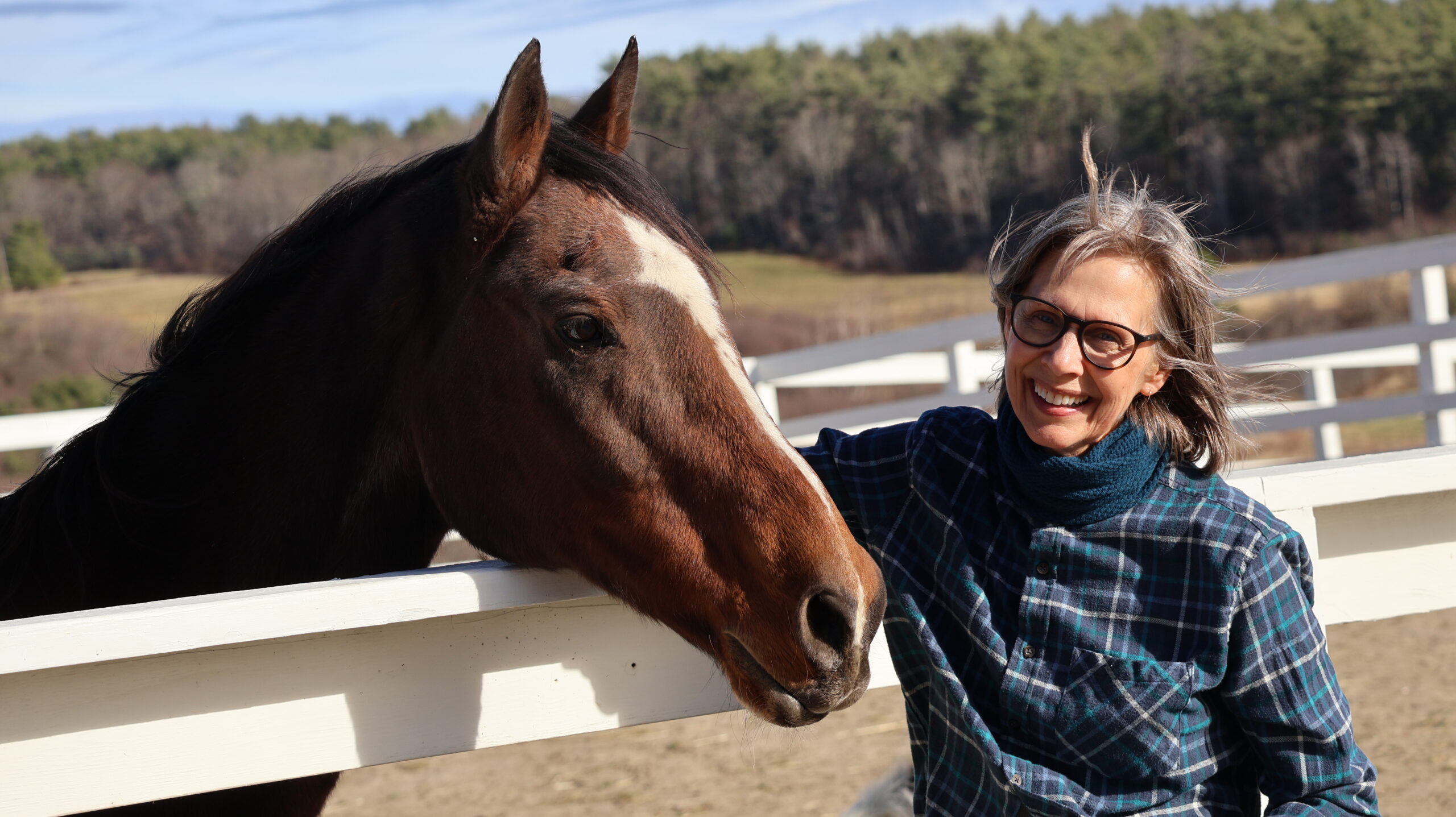 A Safe Place to Land for Survivors and Their Horses
