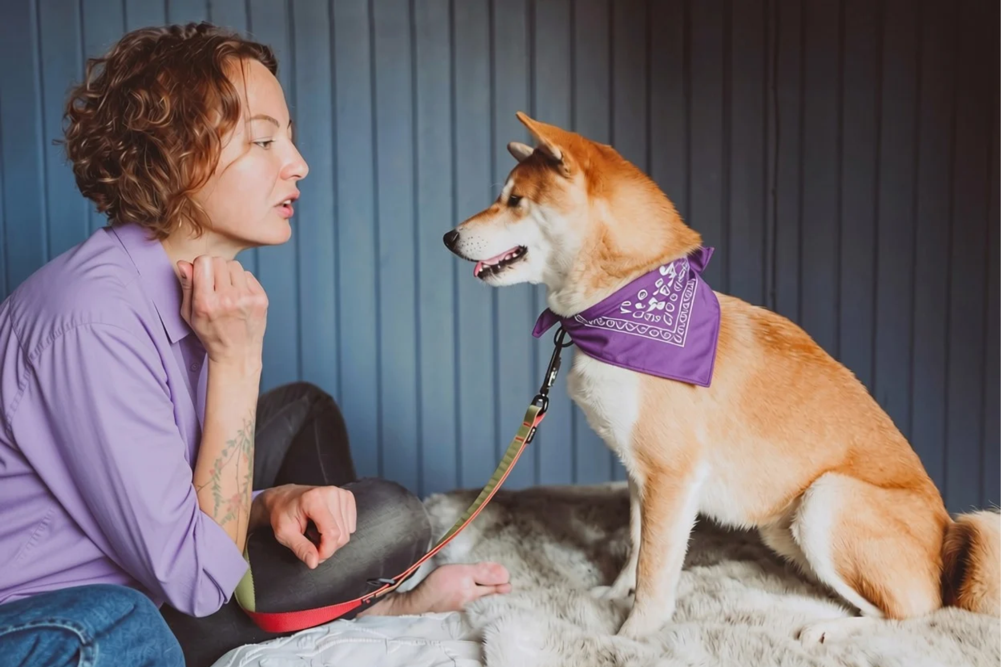 Keeping People and Pets Safe Together This Domestic Violence Awareness Month